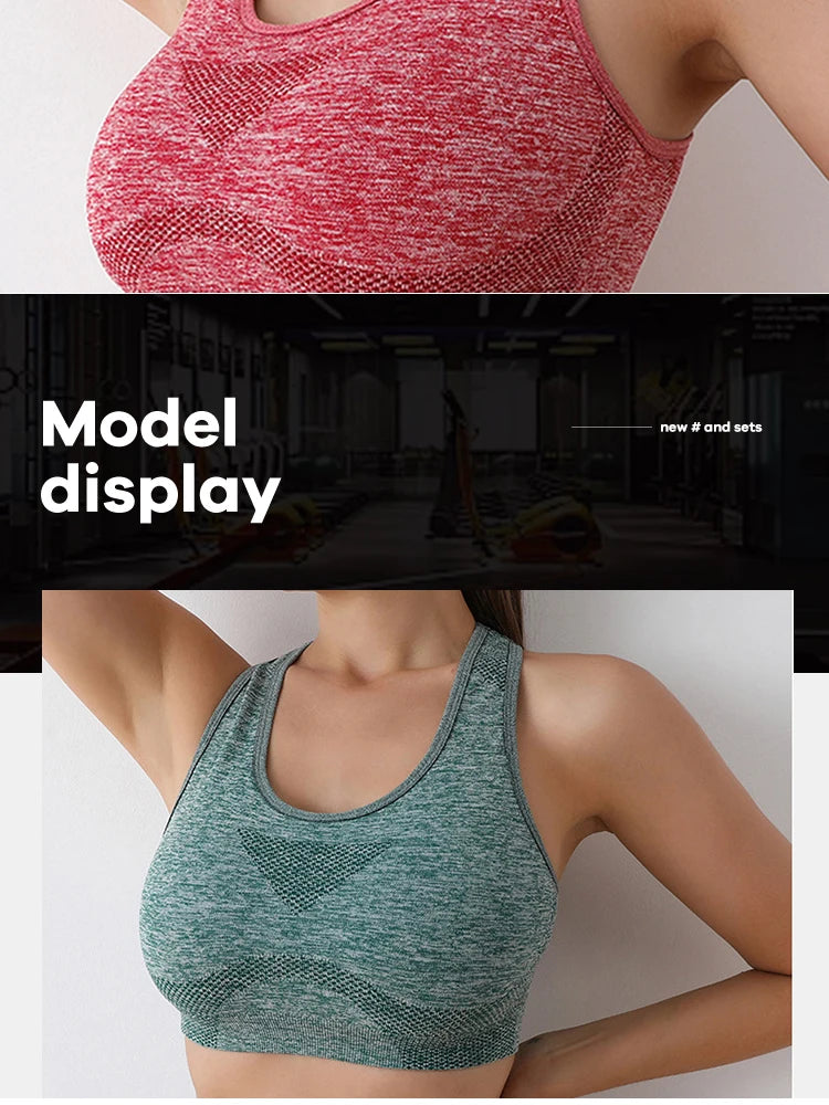 FlexFit Seamless Sports Bra