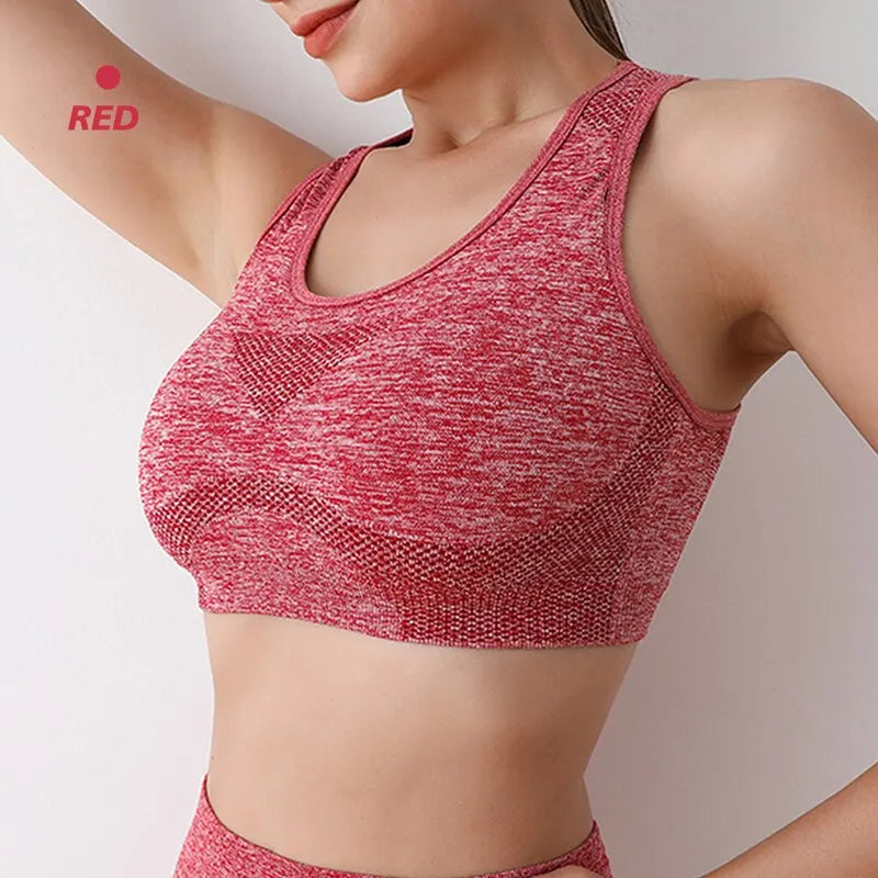 FlexFit Seamless Sports Bra