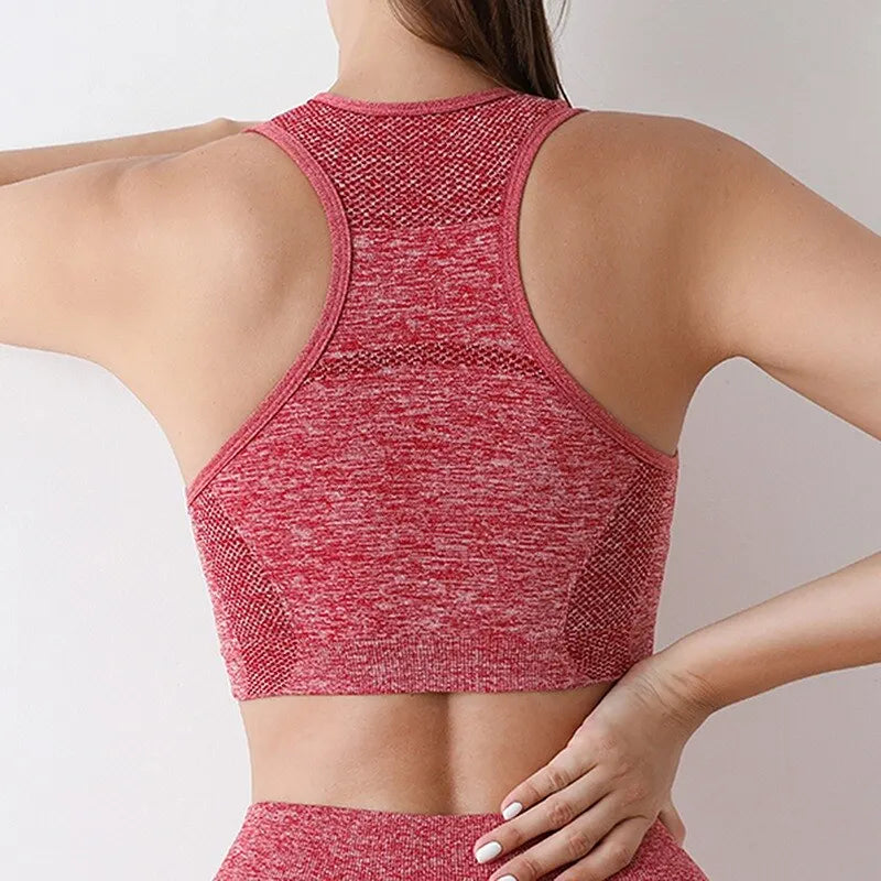 FlexFit Seamless Sports Bra